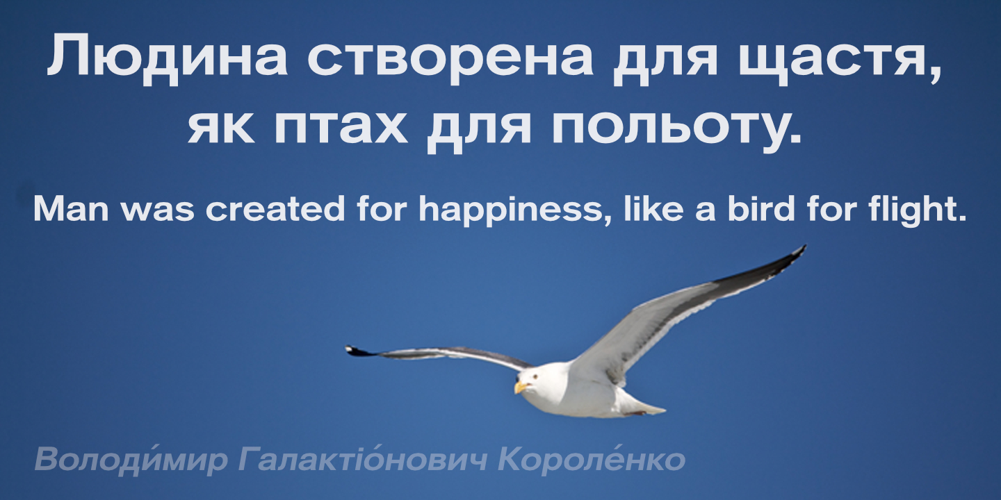 Bird in flight